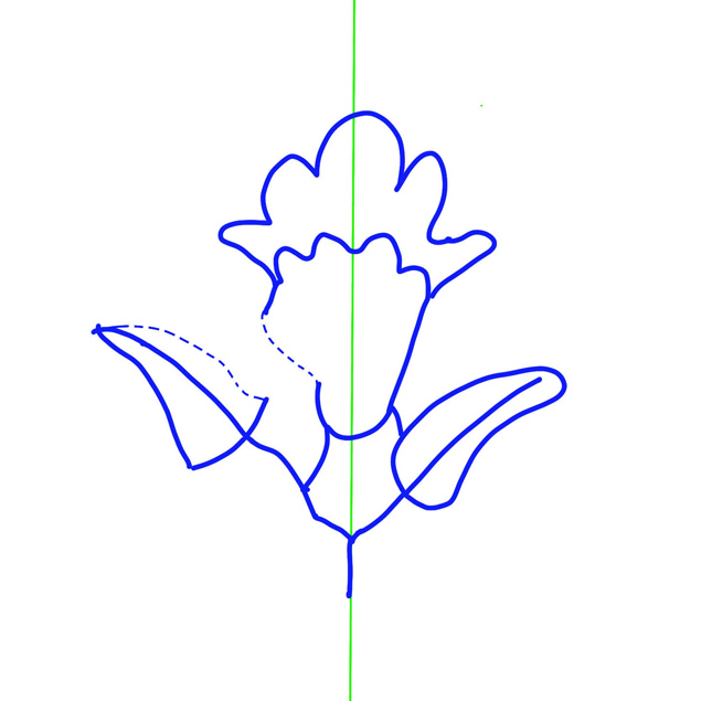 Flower Line Drawing, Group E